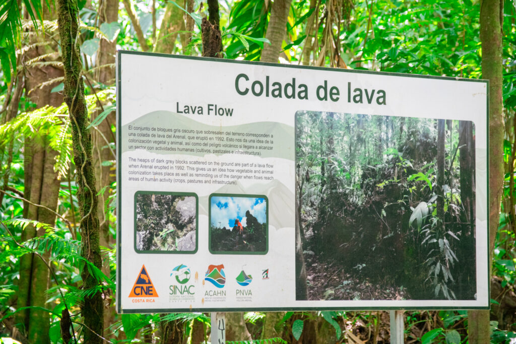 Parque Nacional Volcán Arenal (36)