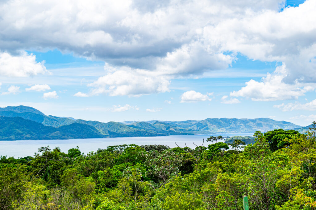 Parque Nacional Volcán Arenal (42)