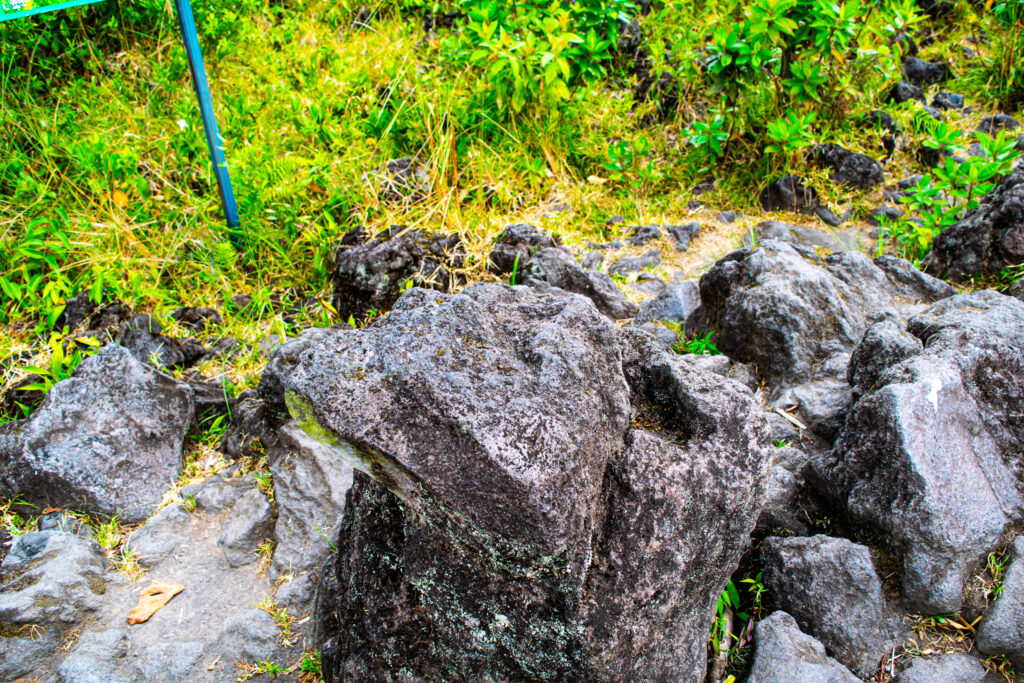 Parque Nacional Volcán Arenal (43)
